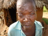 Shelter support photos 240